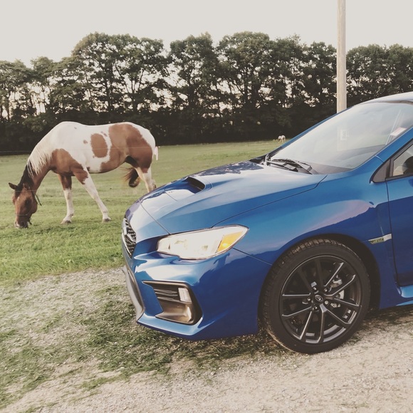 Meet your Posher, Kate - Picture 7 of 8